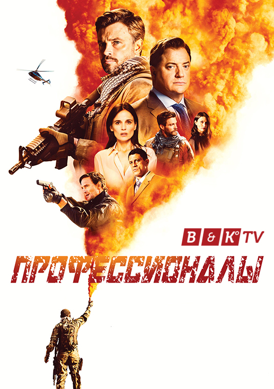 Профессионалы