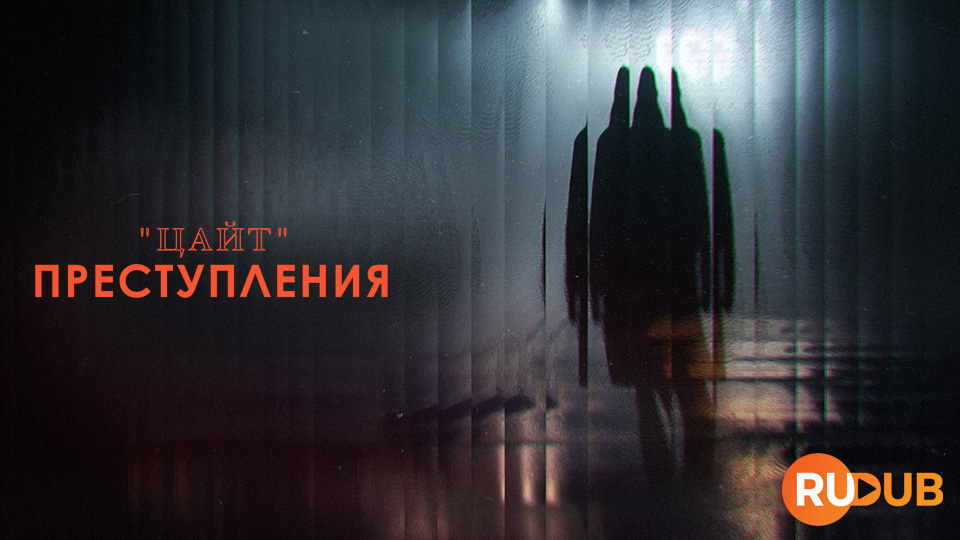 "Цайт". Преступления