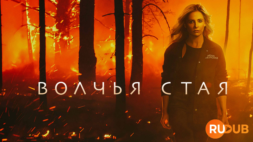 Волчья стая