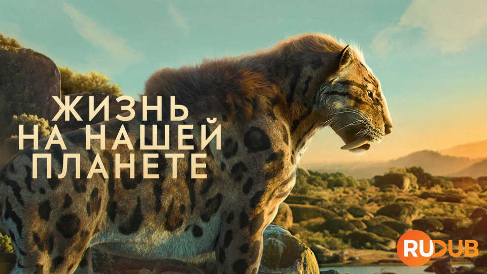 Жизнь на нашей планете