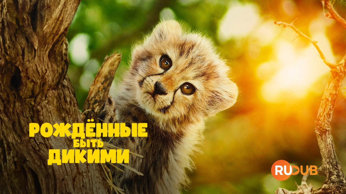 Рождённые быть дикими