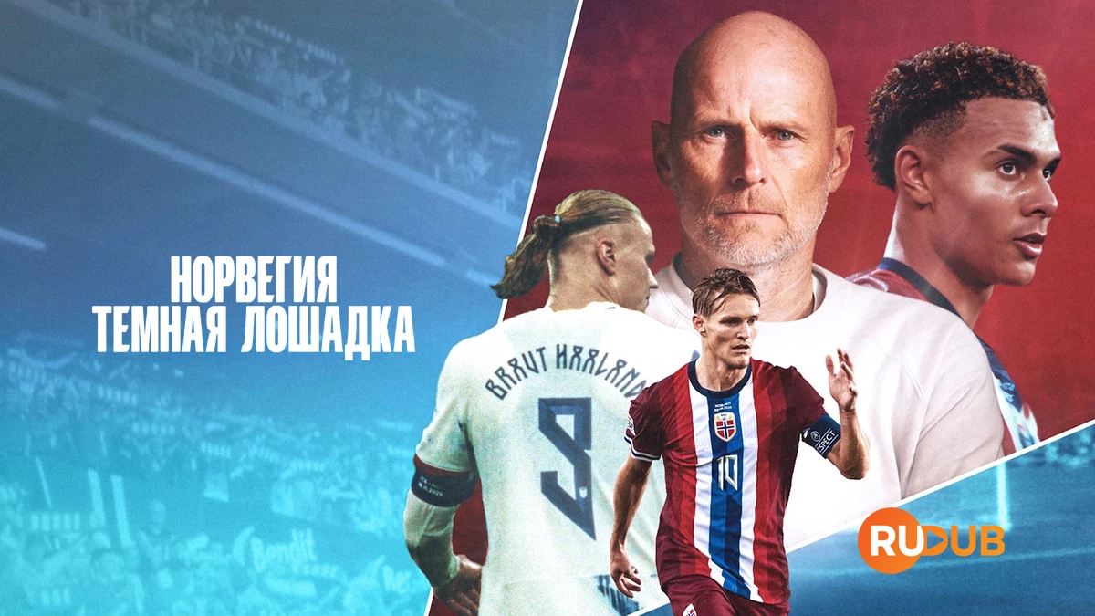Норвегия: Темная лошадка